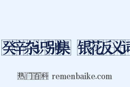 癸辛杂识别集·银花反义词是什么意思的图片